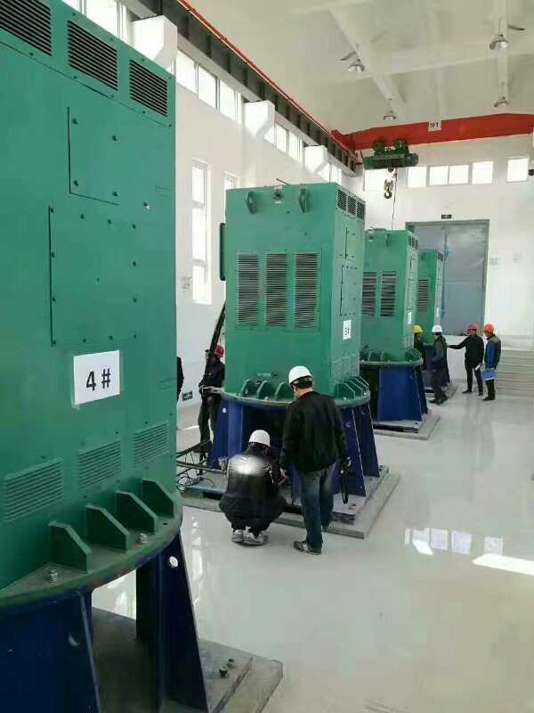 光村镇某污水处理厂使用我厂的立式高压电机安装现场